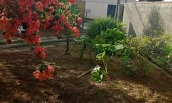 Imagem 7: Vendo lote bem localizado com casa simples aos fundos APENAS VENDA