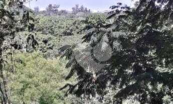 Imagem 4: Terreno à venda, 555 m² por R$ 380.000,00 - Vargem Grande - Rio de Janeiro/RJ