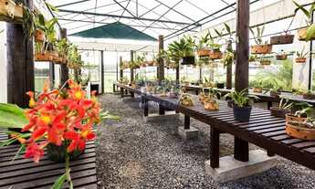 Imagem 10: CAMBORIú - Casa Padrão - Areias