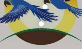 Imagem 5: Recanto das Araras 50 mil +parcelas !! Chácara de 1mil m2 à Venda pronta pra construir !