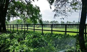 Imagem 4: Santo Antônio de Posse - Fazenda - Santo Antônio de Posse