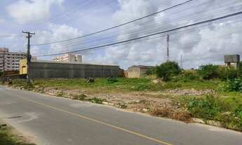 Imagem 2: Terreno localizado no rosa elze. Oportunidade única!