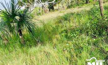 Imagem 4: Fazenda Margem do Rio Araguaia-PA. > 26 Alq. (126 Há
