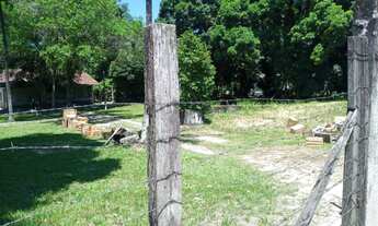 Imagem 4: Excelente área com 12.500m² - Vargem Pequena