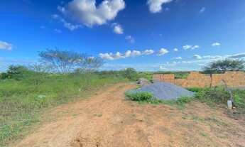 Imagem 3: Vendo área Fazenda / sítio com venda por R$20.000
