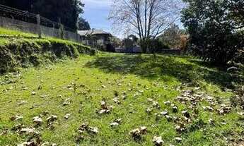 Imagem 5: CAXIAS DO SUL - Terreno Padrão - LINHA 40