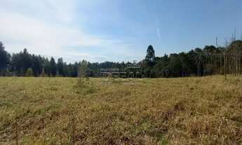 Imagem: Sítio à venda