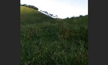 Imagem 5: Terreno com excelente vista