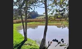 Imagem 7: Sitio em leoberto leal 90 km de floripa