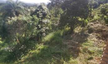 Imagem 6: Lote 360m Igarapé