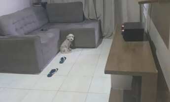 Imagem 5: Alugo quarto para rapaz solteiro no Parque Esplanada 5 em Valparaíso de Goiás