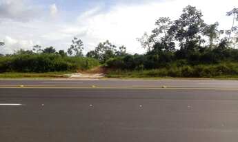 Imagem 5: Terreno Est Manacapuru km61 é 50x2000 na principal a 35 minutos da ponte