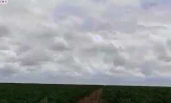 Imagem 5: FAZENDA À VENDA EM SANTA MARIA DAS BARREIRAS-PA-2.094 HEC. (DUPLA APTIDÃO