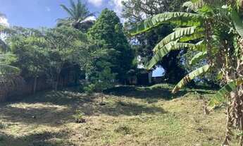 Imagem 7: Vendo casa com terreno e lotes separados