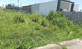 Imagem 3: Terreno em Donana