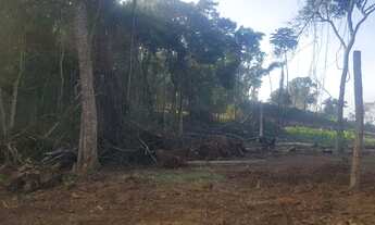 Imagem 4: Terreno pronto para construir