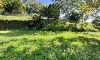 Imagem 2: CAXIAS DO SUL - Terreno Padrão - LINHA 40