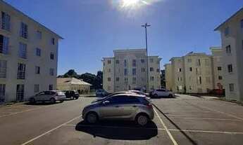 Imagem 3: Oportunidade para Investimento no Fazendinha