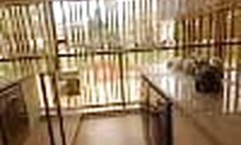 Imagem 4: Apartamento à venda, Jardim das Acácias, São Paulo, SP