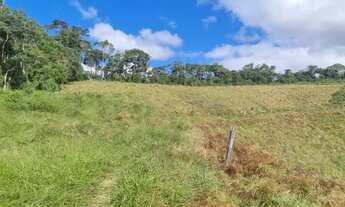 Imagem 3: Produtor rural para produção de leite Jersey