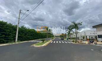 Imagem 3: Locação de Apartamentos / Padrão na cidade de São Carlos