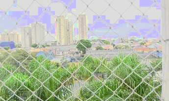 Imagem 5: Apartamento para Aluguel - Paulicéia, 3 Quartos, 70 m2