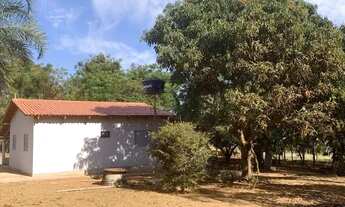 Imagem 4: Chácara 4100m², Casa, Terra Cultura, Cercada, Plantas, 2km Centro Aragoiânia