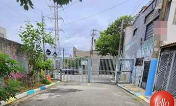 Imagem 5: São Paulo - Terreno Padrão - Casa Verde