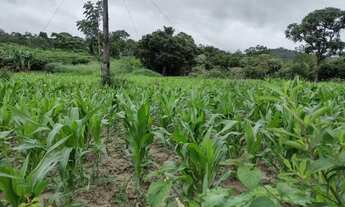 Imagem 6: FAZENDINHA com Riachinho ou Lago, 2 x de R$12.507,00 mais parcelas