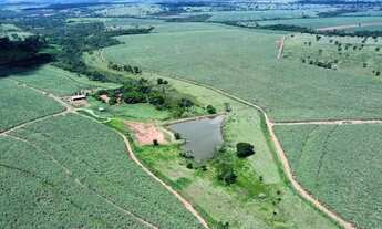 Imagem: 37 alqueirão - Cana - 65 ton