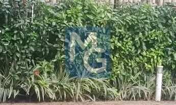 Imagem 3: VENDO EXCELENTE APARTAMENTO NO ROSARINHO!