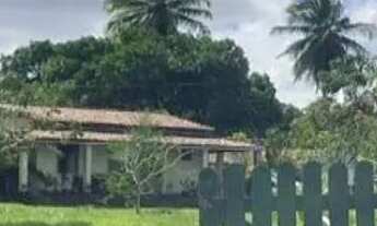 Imagem 2: Vendo Sítio no Povoado da Chica em São Crístóvão