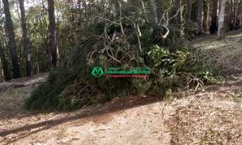 Imagem 4: Terras de São Felipe - Caucaia do Alto