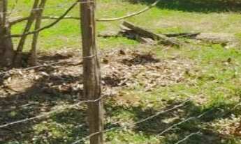 Imagem 2: Terreno Januári - 20 x 30