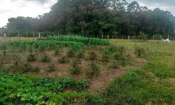 Imagem 2: Sítio no bairro Corredor dos Farias em Hulha Negra!