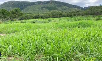 Imagem: Fazenda Goiás Monte alegre