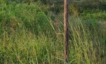 Imagem 4: Terreno frente de rua, no loteamento chacaras havana