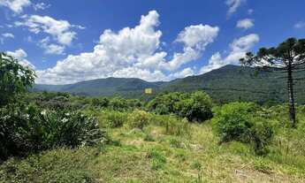 Imagem 6: Sítio a venda no interior de Canela