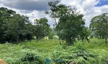 Imagem 4: Chácara com 2 ha de terra no São Victor Cohab