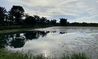 Imagem 4: Vendo Fazenda com 246 Hectares em Itacoatiara/ Pronta Para Diversas Atividades