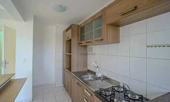 Imagem 4: Apartamento 2 quartos para aluguel Pelotas