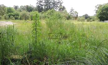 Imagem 6: Terreno à venda, 13000 m² por R$ 2.800.000,00 - Santa Cândida - Curitiba/PR