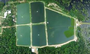 Imagem 7: Vendo Fazenda com 246 Hectares em Itacoatiara/ Pronta Para Diversas Atividades