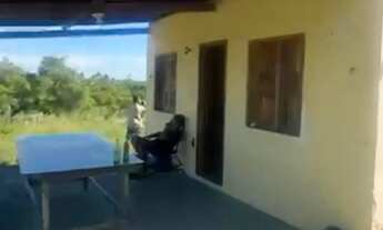 Imagem: Sítio Japaratuba - chacara interior - terreno