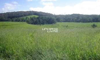 Imagem 3: Terreno à Venda em Suzano/SP Ideal para Investidores , Área de 194.153,97 m²