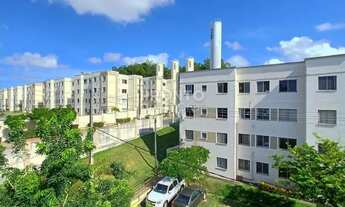 Imagem 6: Apartamento charmoso 2 quartos na Zona Sul