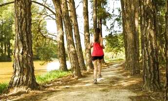 Imagem 2: Lote em condomínio em Condomínio Terras de São José - Condomínio Terras de São José - Itu
