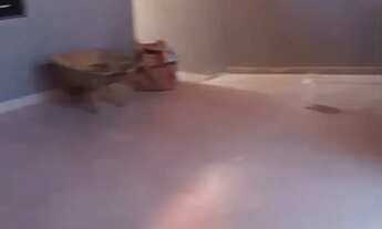 Imagem 6: CASA NA AREIA CENTRAL, BAIRRO ALICE MAIA!