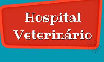 Imagem: Hospital veterinário
