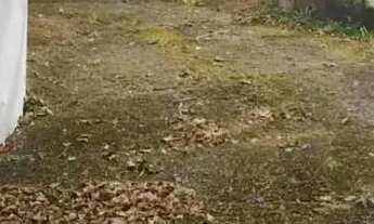 Imagem 4: Casa com 6 quartos em Vargem Grande Paulista